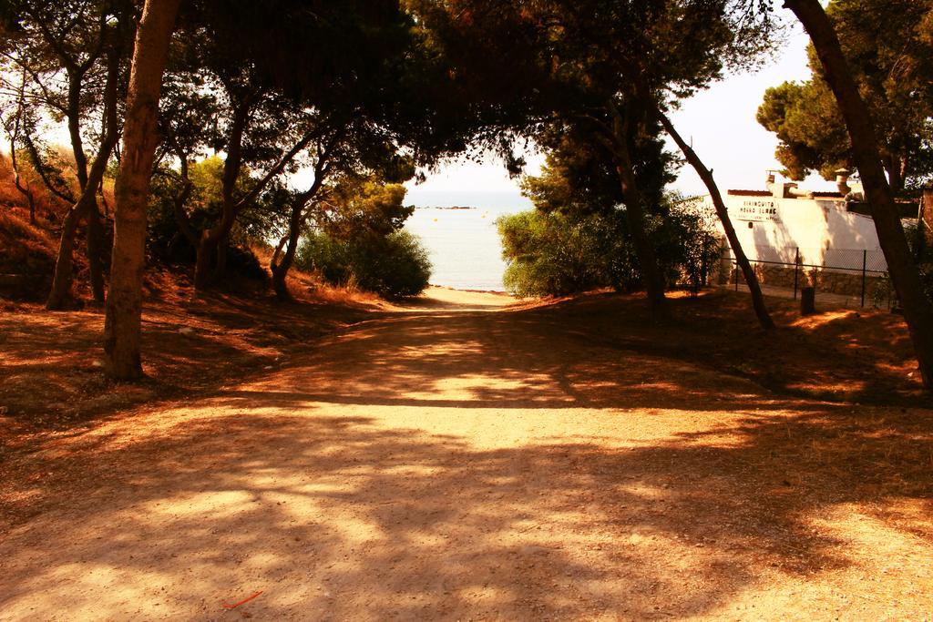 Coveta Beach Apartament エル・カンページョ エクステリア 写真